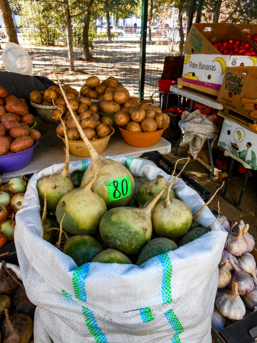 Картошка прибывает в Камышин, она немного подешевела
