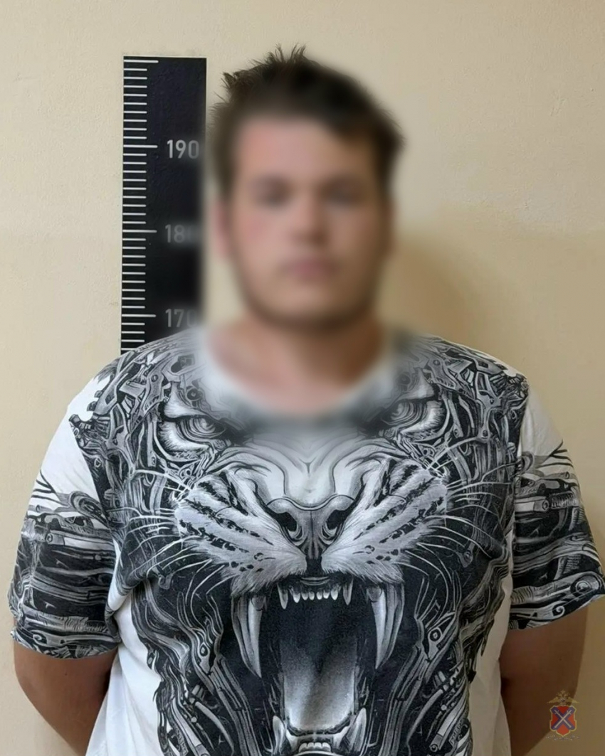 Полицейские Камышина задержали подозреваемого в краже ювелирных изделий у своей крестной