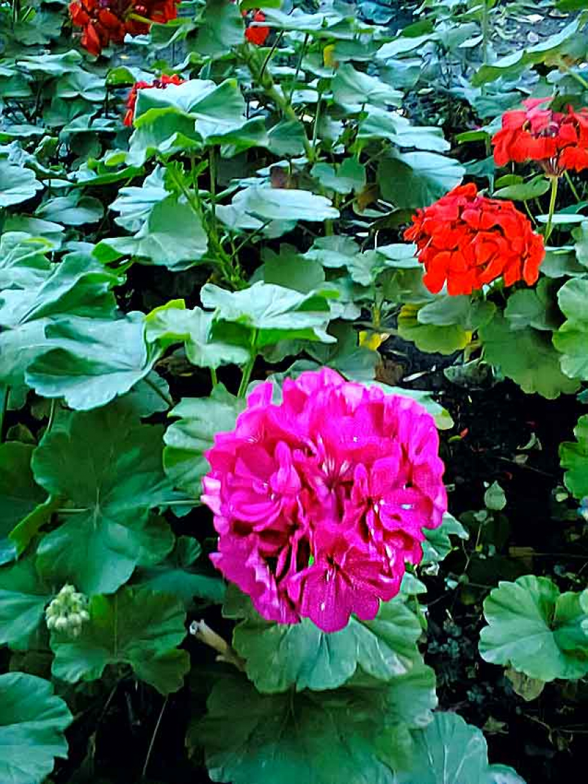 Камышан порадует летним теплом солнечная пятница