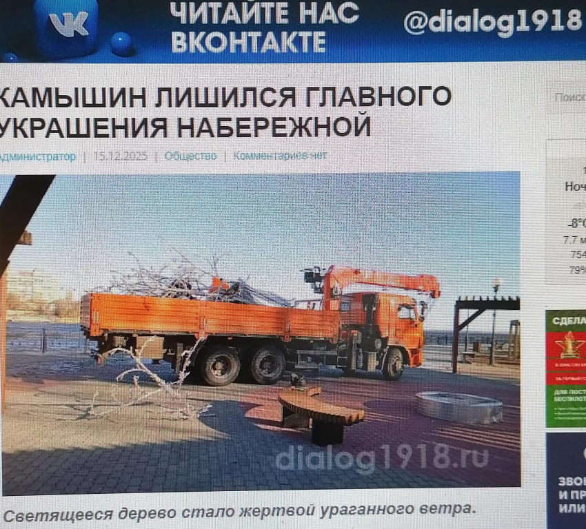 В Камышине с набережной «эвакуировали» поваленное и разбитое ураганом светящееся дерево