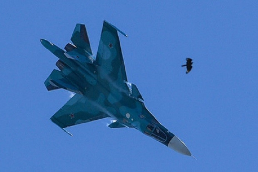 В одном из столкнувшихся на Дальнем Востоке Су-34 был уроженец Волгограда, - «Блокнот Волгограда"