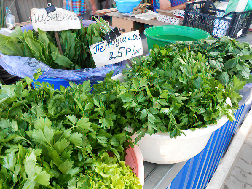 В Камышине рекорды дороговизны бьют зелень и овощи для острых приправ