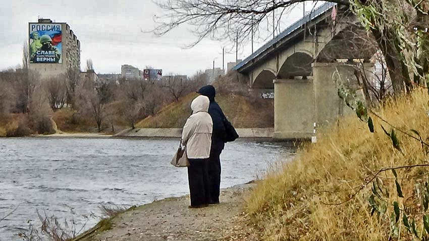 Сумрачно, ветрено, но без осадков: погода в Камышине на выходные (ВИДЕО)