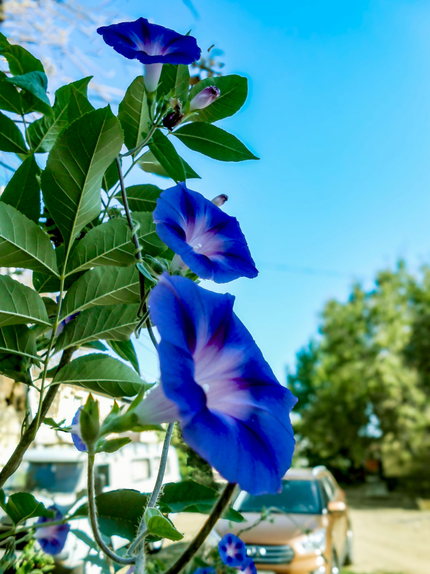 В Камышине сегодня, 28 августа, +25, но жара будет нарастать