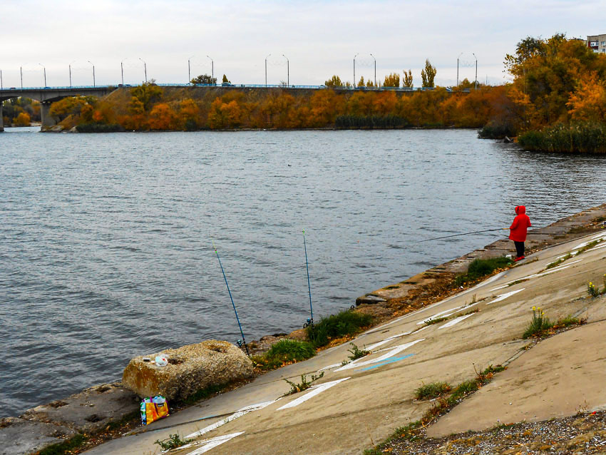 Романтичные рыбачки замечены на берегах Камышинки