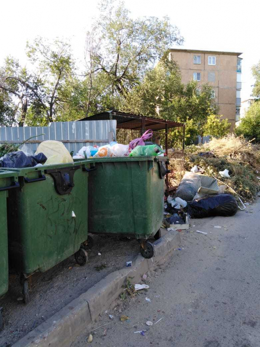 Жителей улицы Гороховской в Камышине решили сжить со свету вонью с мусорной площадки?