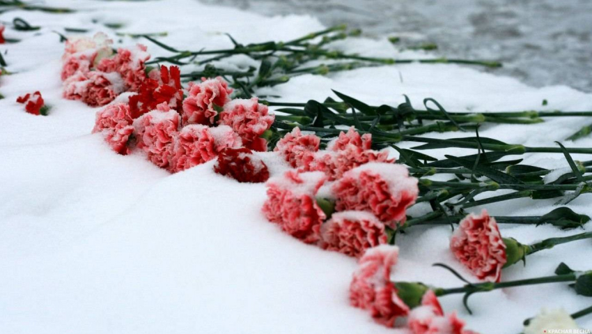 Администрация Камышина известила горожан, что 2 февраля цветы к мемориалам можно возложить в индивидуальном порядке