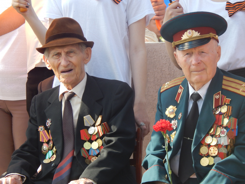 Членов жюри журналистского конкурса в Камышине оказалось вдвое больше, чем  реальных журналистов