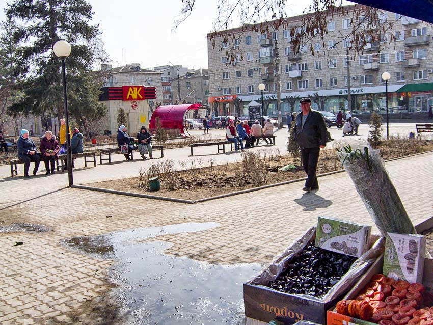 Лжеброкер опять «подобрал» себе жертву среди доверчивых камышинских пенсионерок, положив в карман почти 400 тысяч