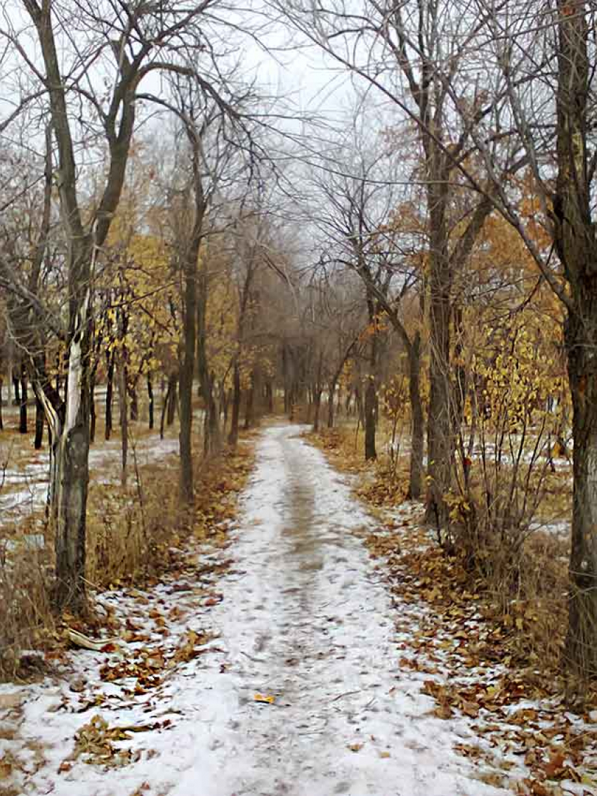 Из троих умерших от CОVID в Волгоградской области по данным на 24 декабря двое - камышане