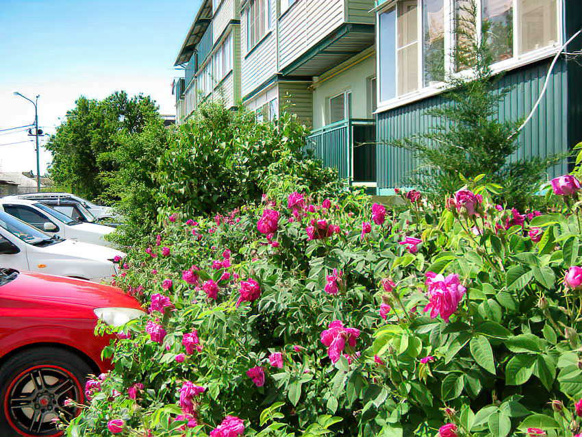 Фигурантка не успела купить жилье в Камышине с использованием материнского капитала, как тут же в нарушение закона продала его...