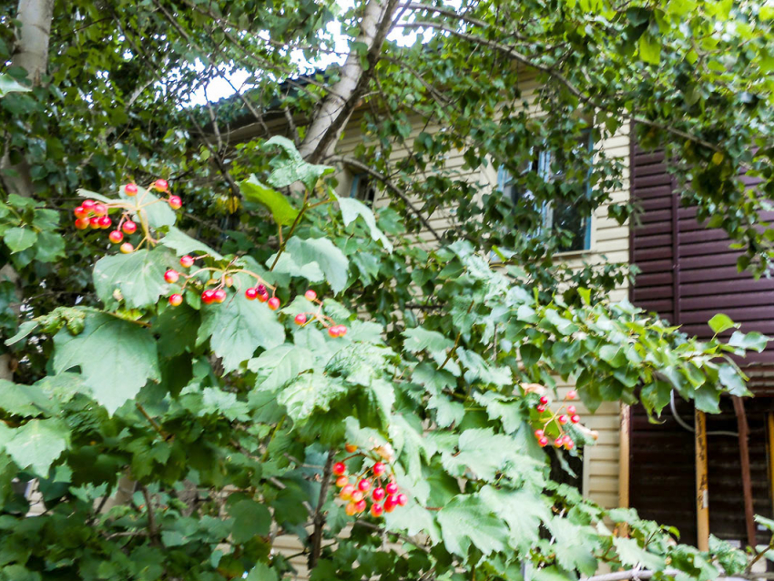 В Камышине 13 августа продолжатся отключения электричества в домах