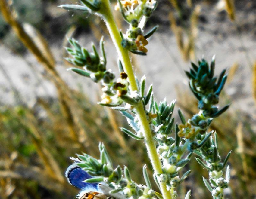 В Камышинском районе пьяный водитель опрокинул автомобиль и отправился к хирургам