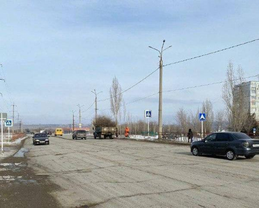 Службы благоустройства Камышина докладывают, что они занялись обрезкой деревьев