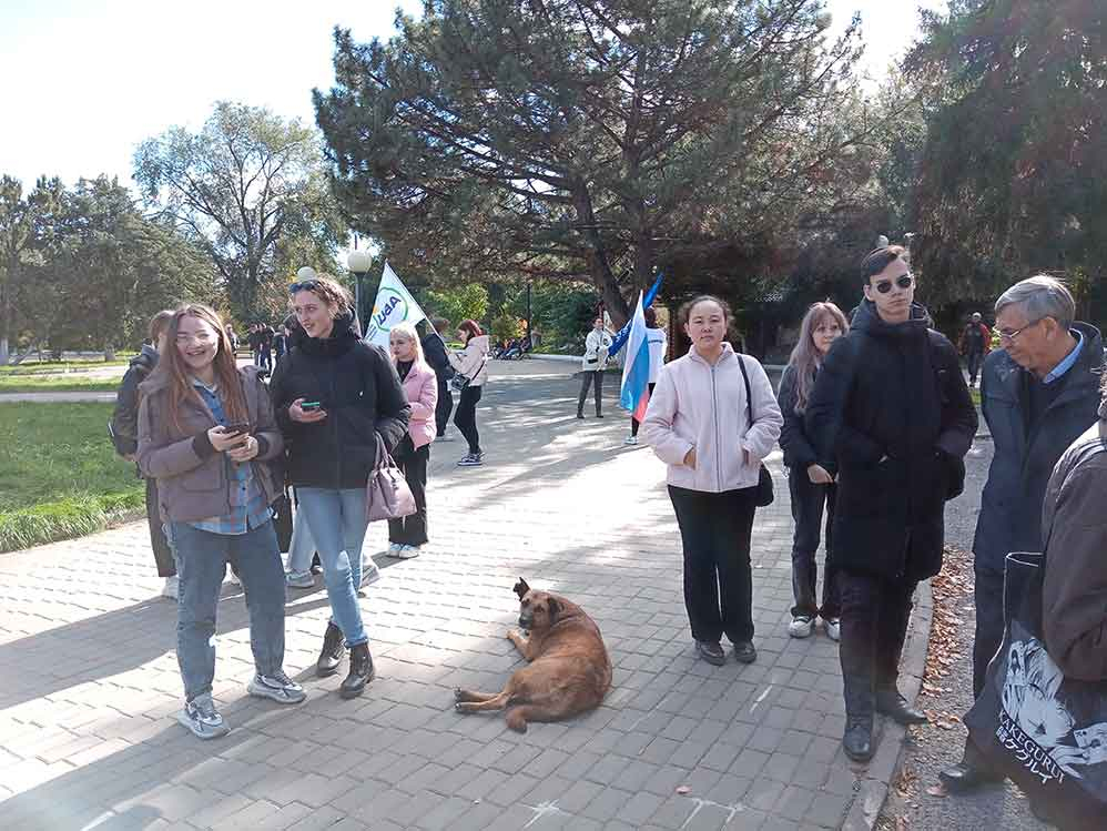 Жителям Волгоградской области запретили кормить собак у подъездов, в парках, на рынках и в других общественных местах