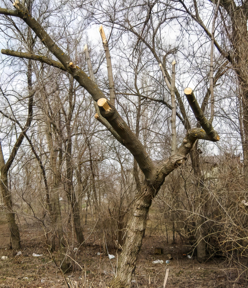 10_topaz_sharpen_enhance_4x.jpeg 10_topaz_sharpen_enhance_4x.jpeg