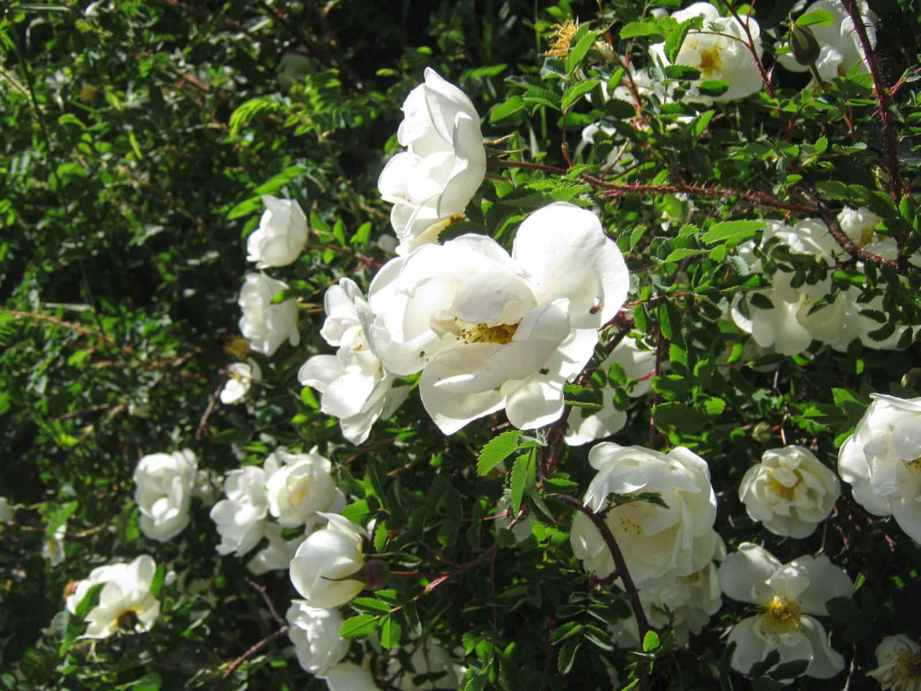 IMG_0347.jpg IMG_0347.jpg