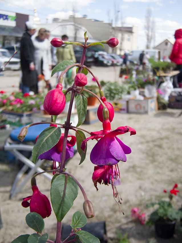 CRW_3416.jpg