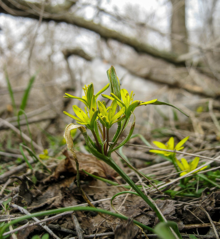 05_topaz_sharpen_enhance_4x-_1_.jpeg 05_topaz_sharpen_enhance_4x-_1_.jpeg