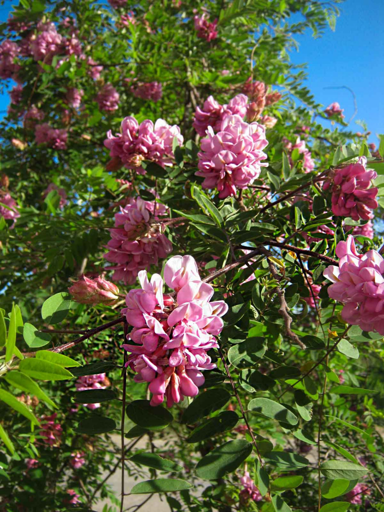 IMG_0357.jpg IMG_0357.jpg