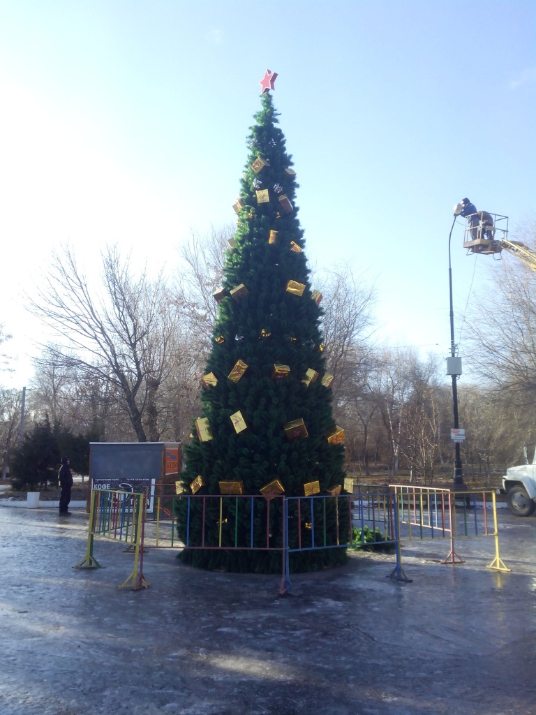 IMG_20141226_103910.jpg