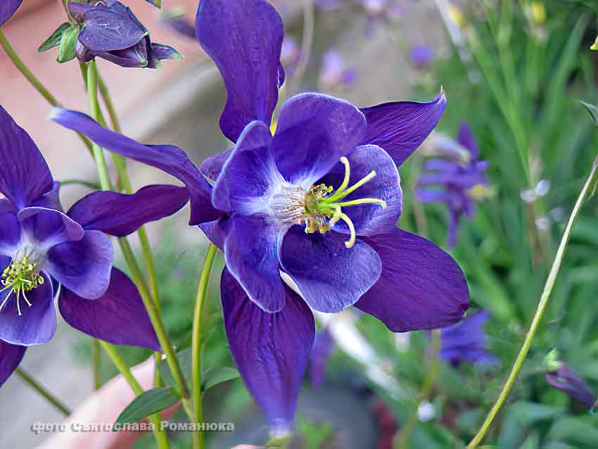 IMG_0329.jpg IMG_0329.jpg